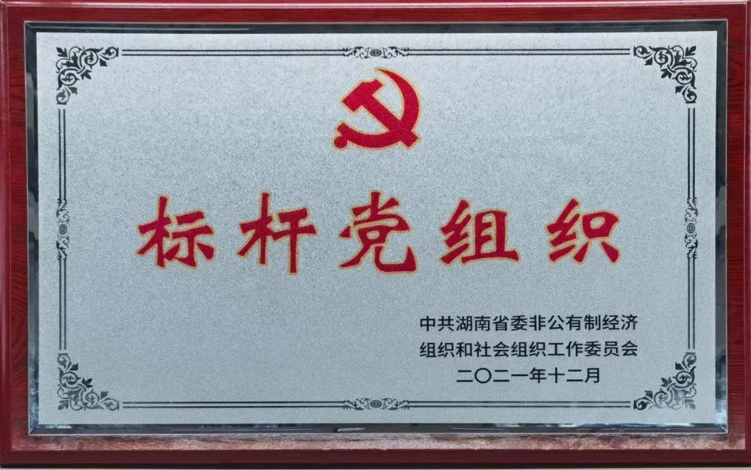 党建品牌亮起来！8188cc威尼斯智能党委获评“标杆党组织”